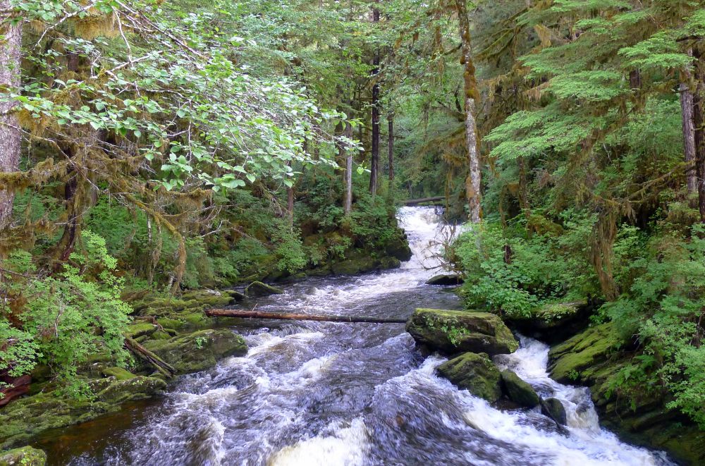 Carbon Offset